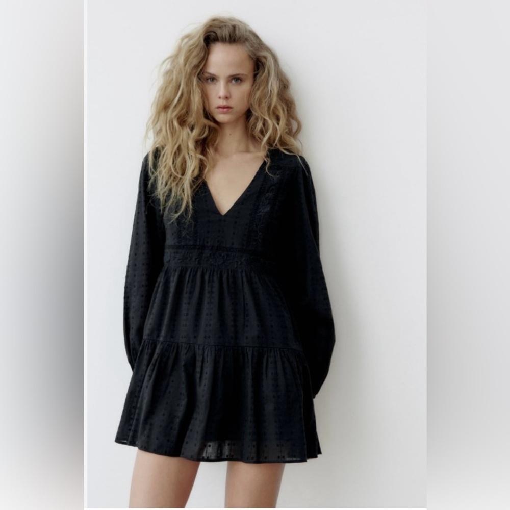 Zara S Swiss Dot Embroidered Dress